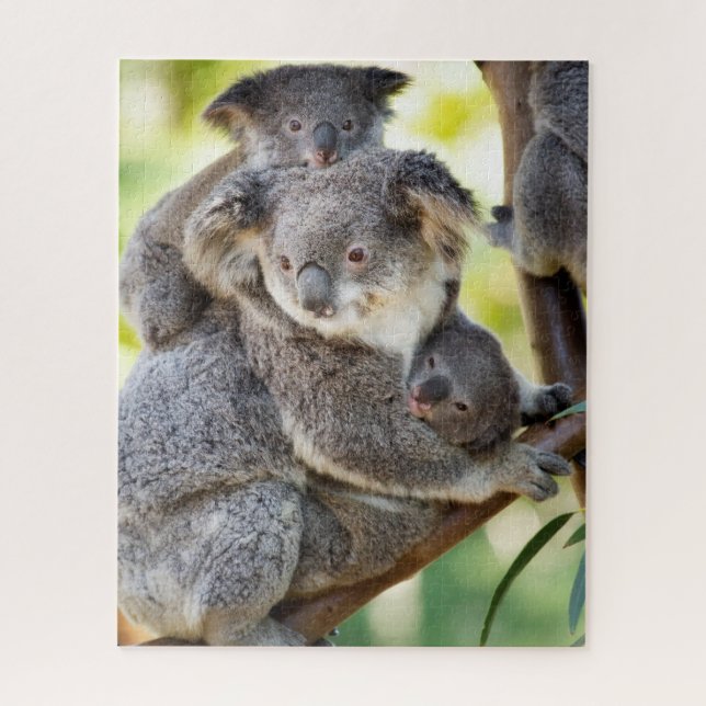 Quebra-cabeça Grupo Familiar Super Cute Koala Wildlife (Vertical)