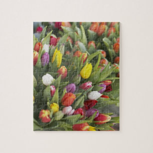 Quebra-cabeça Grupos de tulipas coloridas
