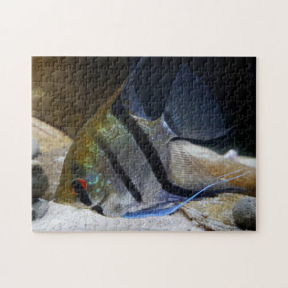 Quebra-cabeça Guardião de Peixes Tropicais Angelfish