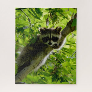 Quebra-cabeça Guaxinim em cinza verde-árvore mascarada raccoon