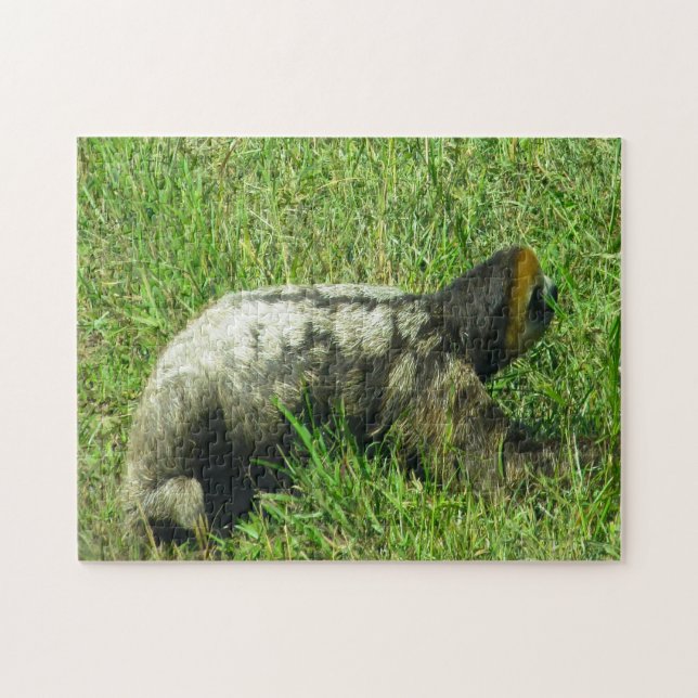 Quebra-cabeça Guiana Sloath. (Horizontal)