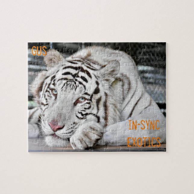 Quebra-cabeça Gus - (Horizontal)