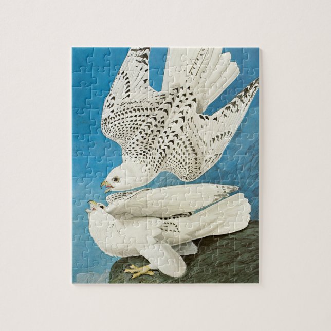 Quebra-cabeça Gyrfalcons, também conhecido como Gerfalcons por J (Vertical)