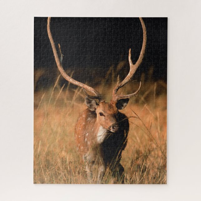 Quebra-cabeça Habitat Natural Chital | Parque Nacional de Bandha (Vertical)