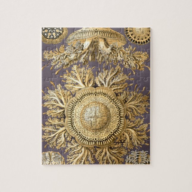 Quebra-cabeça Haeckel Discomedusae (Vertical)