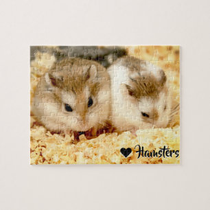 Quebra-cabeça Hammyville - Hamster Bonito