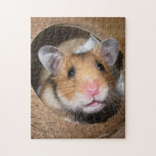 Quebra-cabeça Hamster de Pet Sírio - Hamster Padrão - Urso de