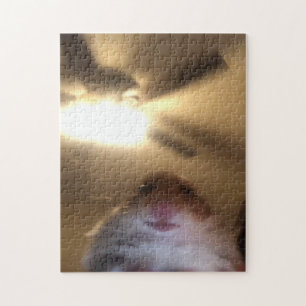 Quebra-cabeça Hamster Staring Meme