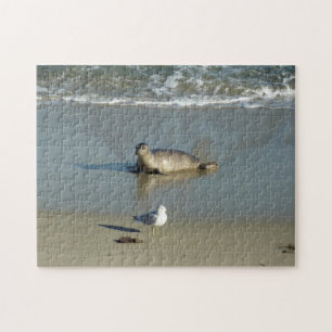Quebra-cabeça Harbor Seal em La Jolla California