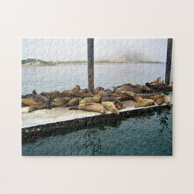 Quebra-cabeça Harbor Seals, Morro Bay, Califórnia (Horizontal)