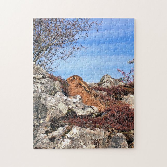 QUEBRA-CABEÇA HARE (Vertical)