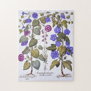 Quebra-cabeça Harebell e Convovulus