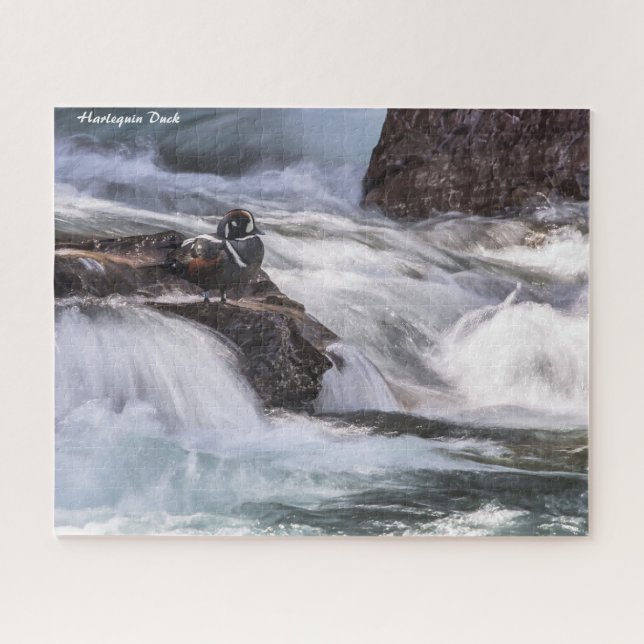 Quebra-cabeça Harlequin Duck (Horizontal)