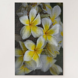 Quebra-cabeça Hawaii Yellow Plumeria
