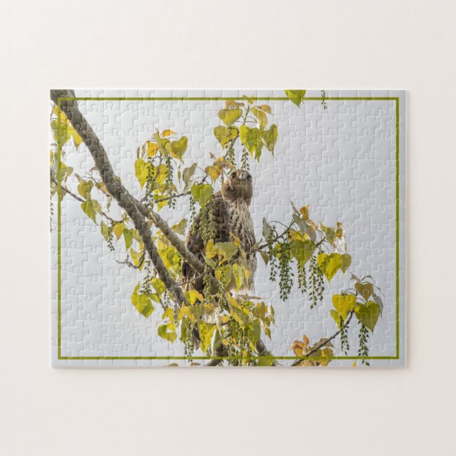 Quebra-cabeça Hawk E Corações (Horizontal)