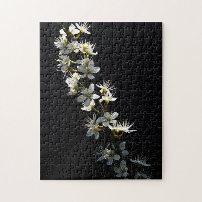 Quebra-cabeça Hawthorn Flowers 11x14 252pc jpcnm (Vertical)