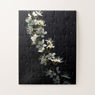Quebra-cabeça Hawthorn Flowers 11x14 30pc jpcn