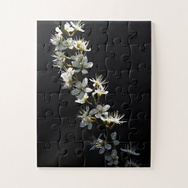 Quebra-cabeça Hawthorn Flowers 11x14 jpcnm 30pc (Vertical)