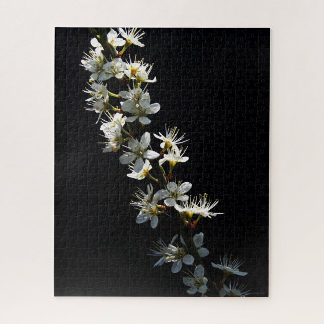 Quebra-cabeça Hawthorn Flowers 16x20 jpcnm 520pc (Vertical)