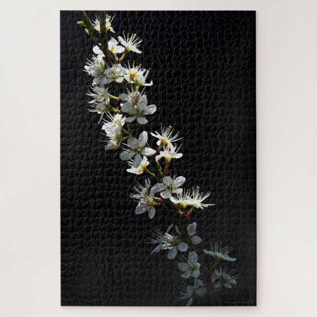 Quebra-cabeça Hawthorn Flowers 20x30 1014pc jpcna (Vertical)