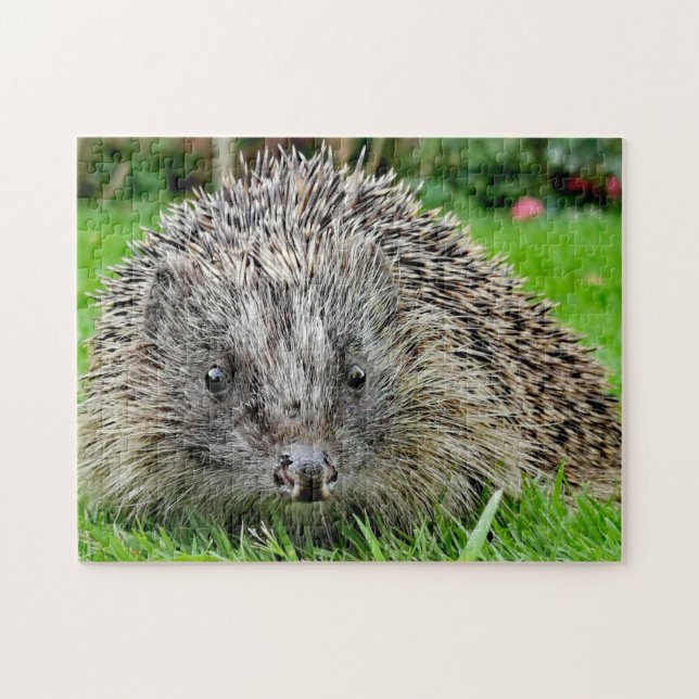 Quebra-cabeça Hedgehog (Horizontal)