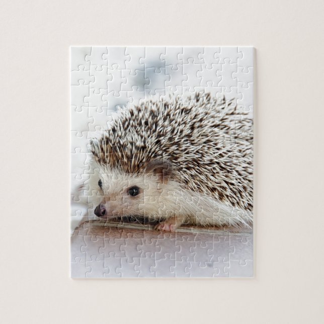 Quebra-cabeça Hedgehog (Vertical)
