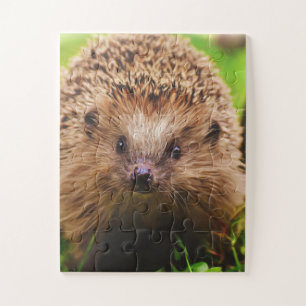 Quebra-cabeça Hedgehog Explora Curiosamente a Natureza