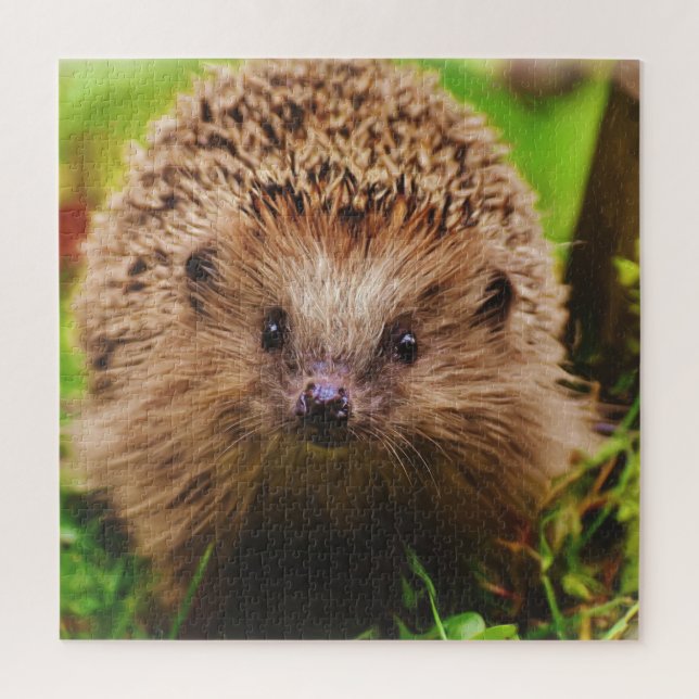 Quebra-cabeça Hedgehog Explora Curiosamente a Natureza (Vertical)