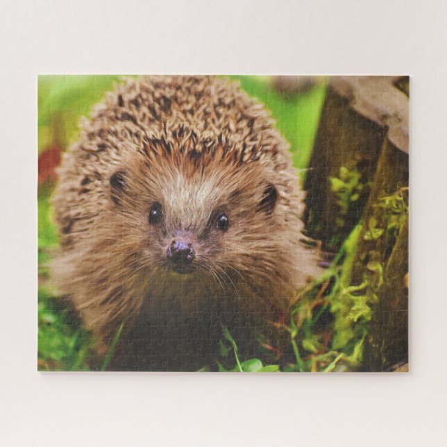Quebra-cabeça Hedgehog Explorando Curiosamente (Horizontal)