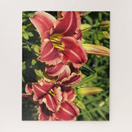 Quebra-cabeça Hemerocallis