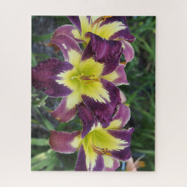 Quebra-cabeça Hemerocallis
