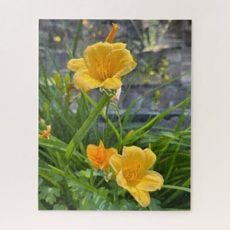Quebra-cabeça Hemerocallis amarelo, Lago Tahoe