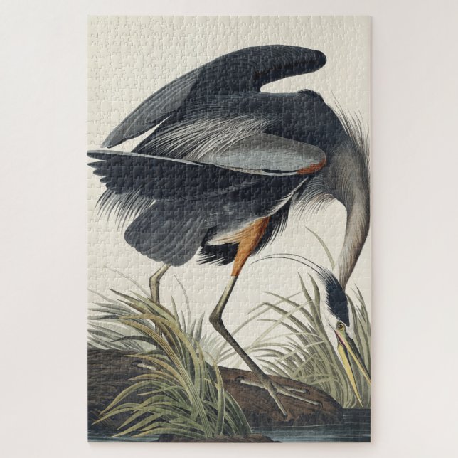 Quebra-cabeça Herão Azul excelente das Aves da América (Vertical)