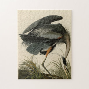 Quebra-cabeça Herão Azul excelente das Aves da América de Audubo