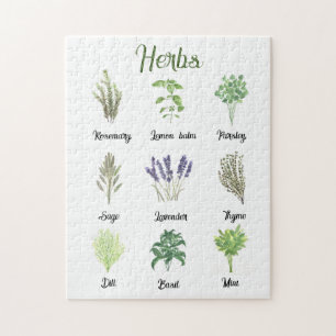 Quebra-cabeça Herbáceas Aquarelas Sage Thyme Green Plant Kitchen