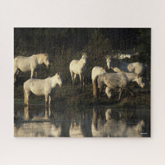Quebra-cabeça Herd Camargue Ponies Na Água