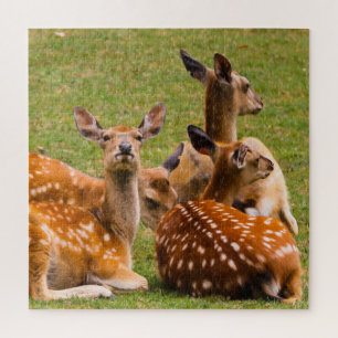 Quebra-cabeça Herd of Deer in Grass