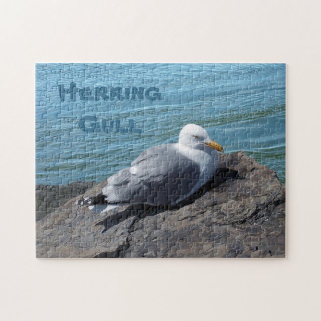 Quebra-cabeça Herring Gull Resting on Rock Jetty: (Horizontal)