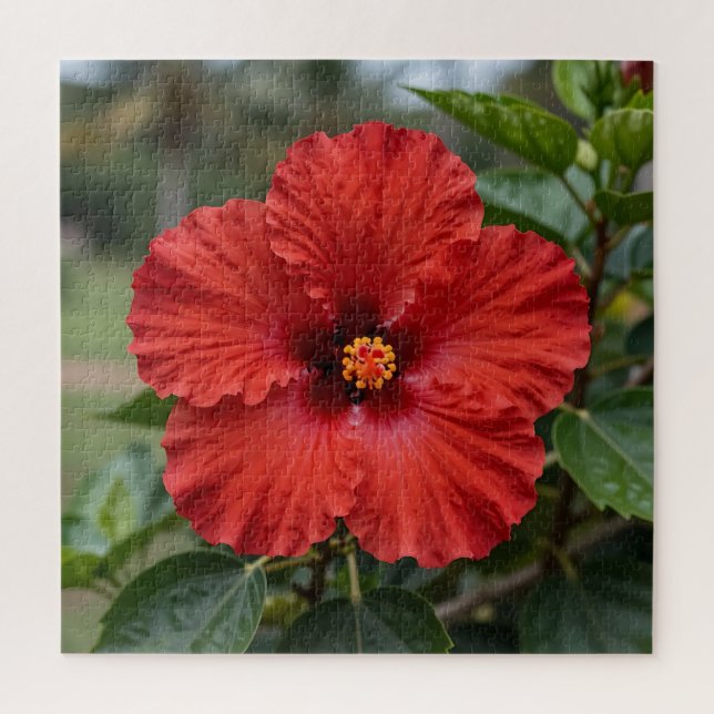 Quebra-cabeça Hibisco Tropical Vermelho Vibrante em Flor (Vertical)