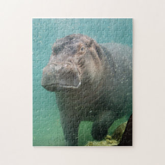 Quebra-cabeça hippo-4