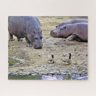 QUEBRA-CABEÇA HIPPOS