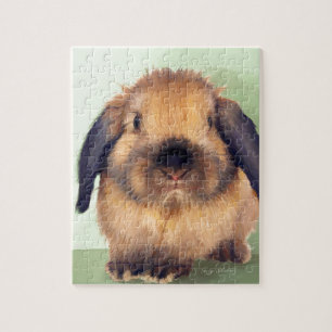 Quebra-cabeça Holland Lop
