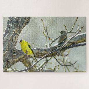 Quebra-cabeça Homem Goldfinch e passarinho feminino