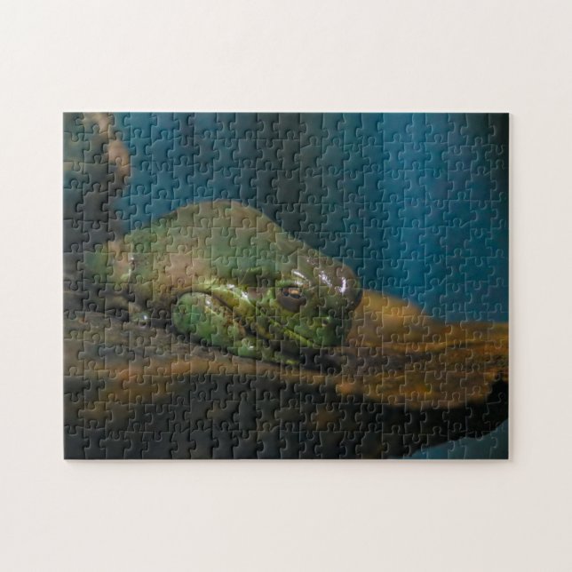 Quebra-cabeça Hora da sondagem (Horizontal)