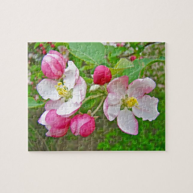 Quebra-cabeça Hora do Flor de Maçã (Horizontal)