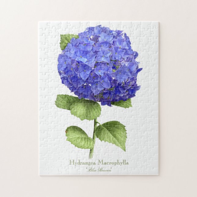 Quebra-cabeça Hortênsia Azul (Vertical)