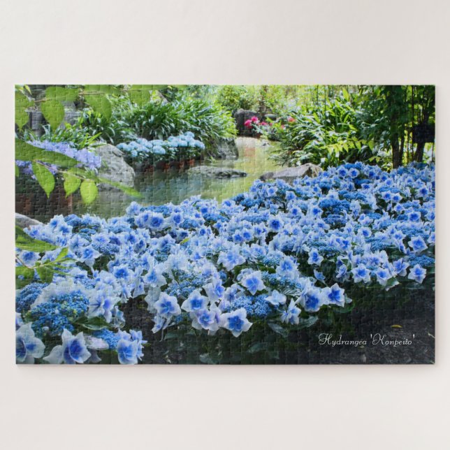 Quebra-cabeça Hortênsia 'Konpeito' [Quebra-cabeça: 1014P] (Horizontal)