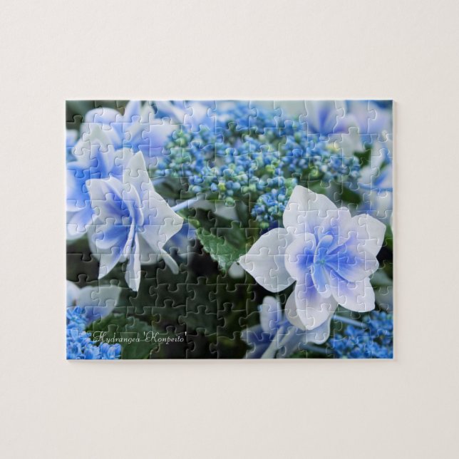Quebra-cabeça Hortênsia 'Konpeito' [Quebra-cabeça: 110P] (Horizontal)
