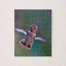 Hummingbird