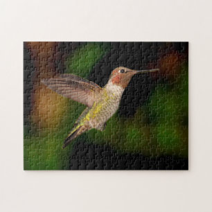Quebra-cabeça Hummingbird